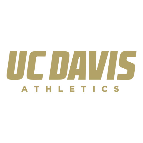  Large Decal - Primary Athletics Mark