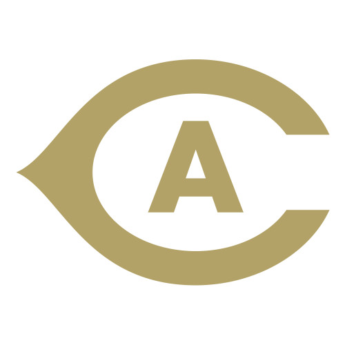 Large Decal - Secondary Athletics Mark