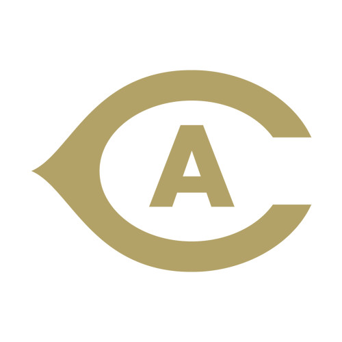  Small Decal - Secondary Athletics Mark