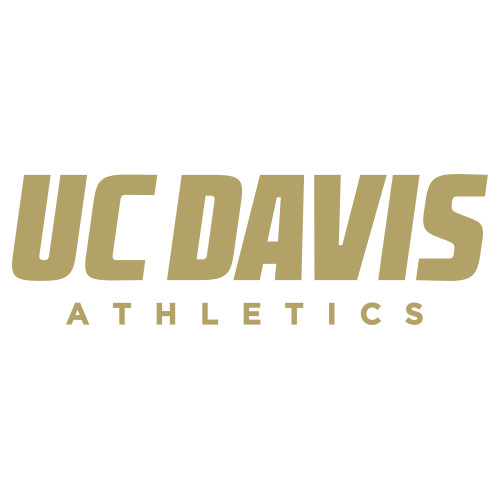  Extra Large Decal - Primary Athletics Mark