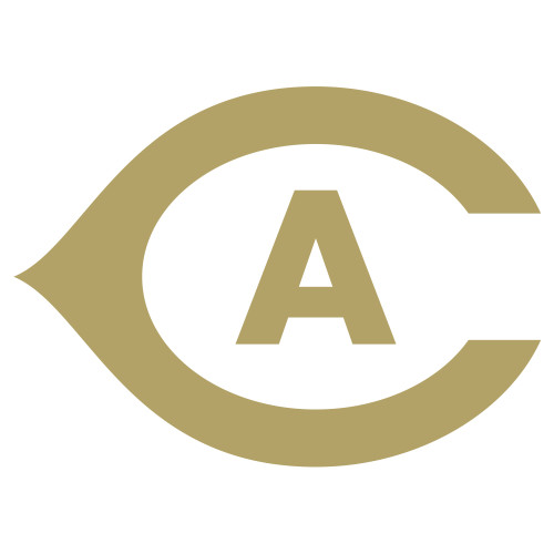  Extra Large Decal - Secondary Athletics Mark
