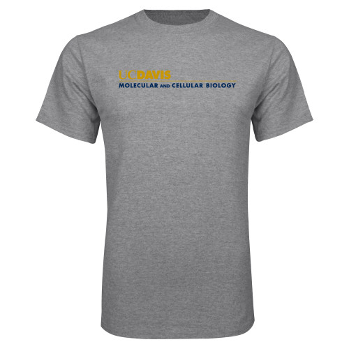 Main Image for  Grey T Shirt