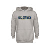 Thumbnail image for  Youth Grey Fleece Hood