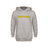 Thumbnail image for  Youth Grey Fleece Hood