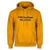 Thumbnail image for  Gold Fleece Hoodie