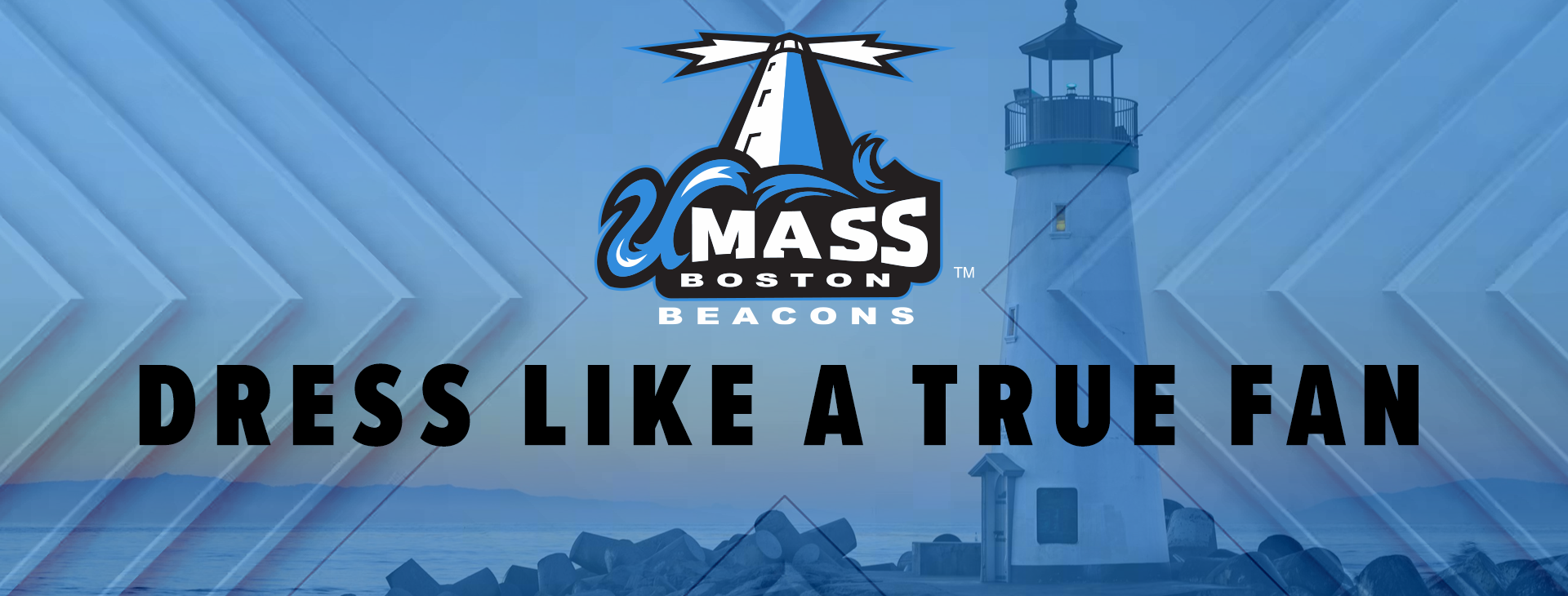 Promotional banner
