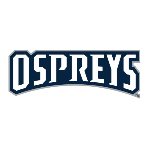  Medium Decal - Ospreys Wordmark