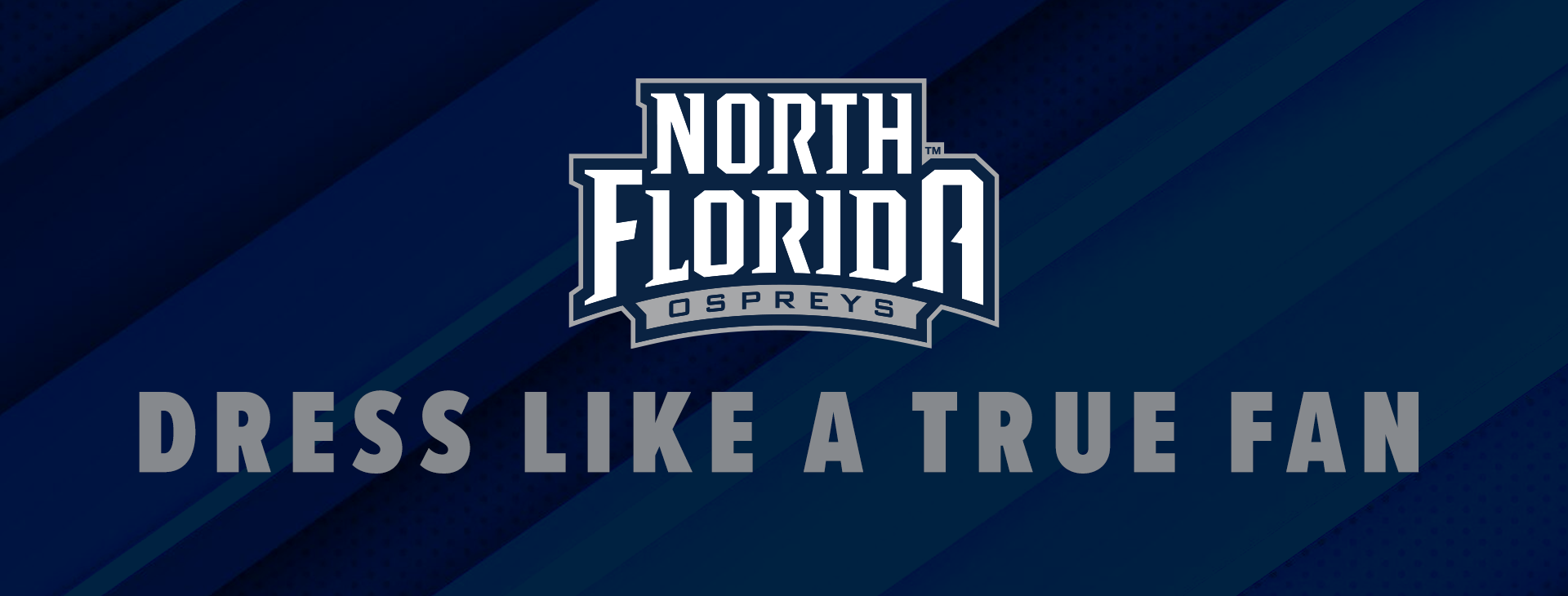 Promotional banner
