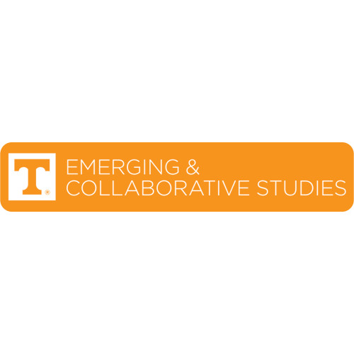  Extra Large Decal - UT Knoxville Emerging and Collaborative Studies