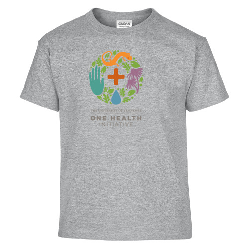 Main Image for  Youth Grey T Shirt