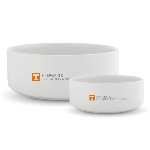 UT Knoxville Ceramic Dog Bowl