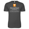 Thumbnail image for  Next Level Charcoal SoftStyle T Shirt