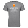 Thumbnail image for  Grey T Shirt