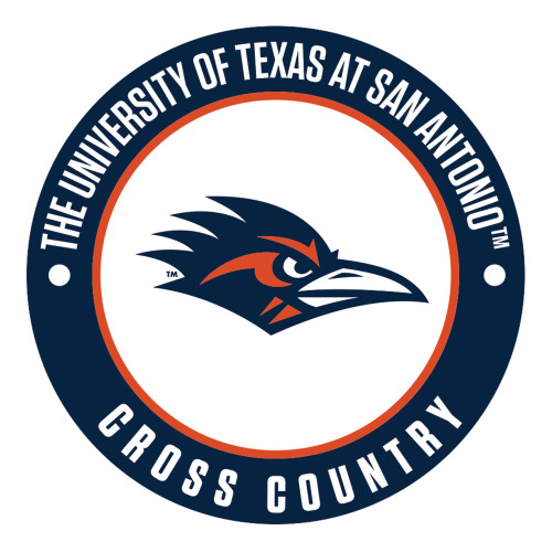 UTSA Medium Decal