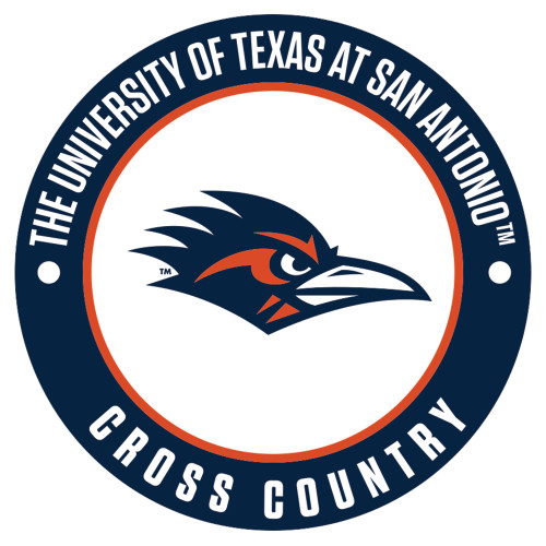 UTSA Large Decal