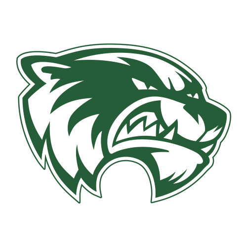  Medium Decal - Primary Logo