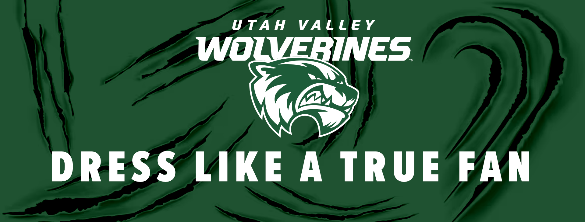 Promotional banner