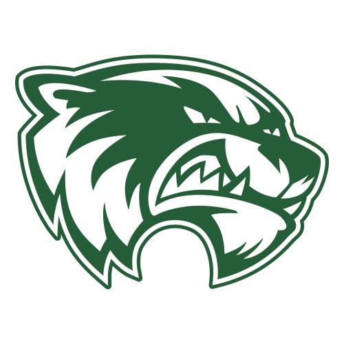  Large Decal - Primary Logo