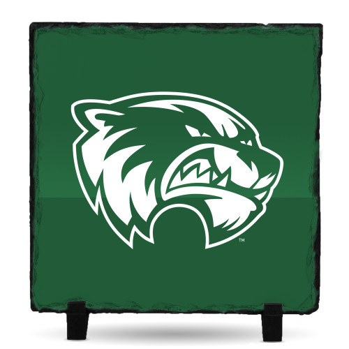  Photo Slate - Primary Logo