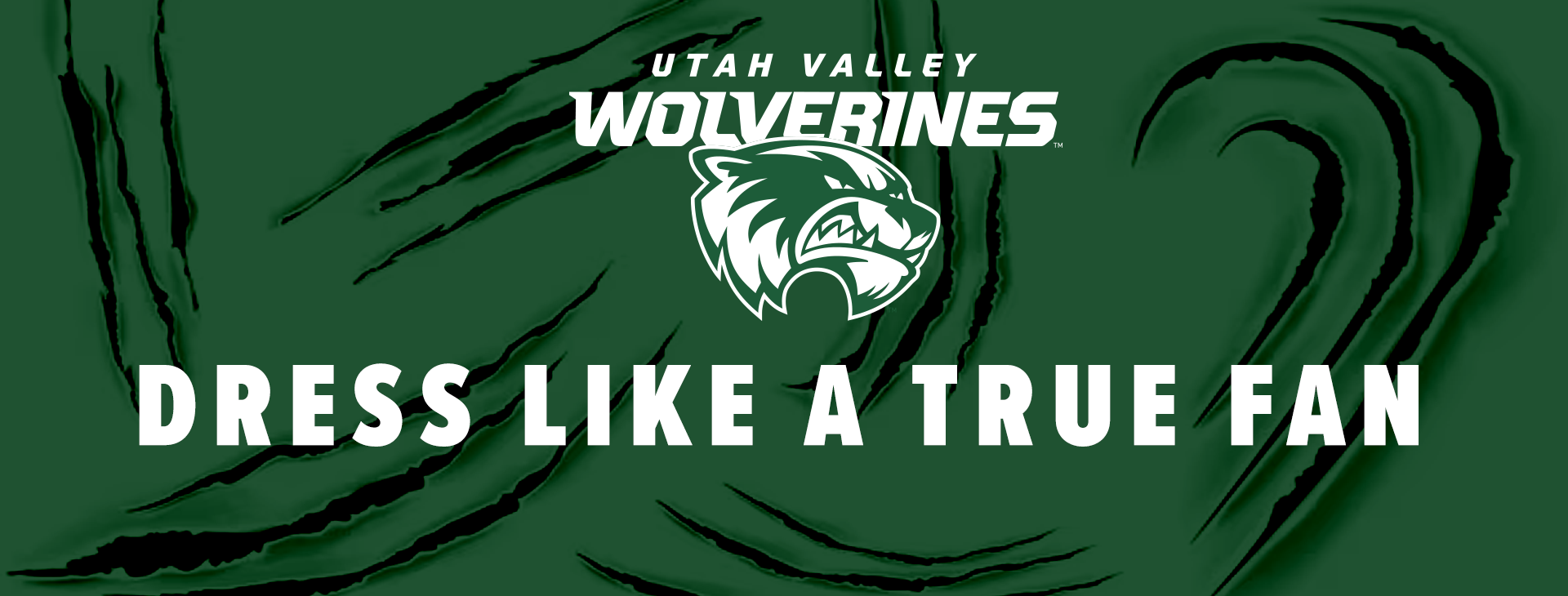 Promotional banner