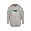 Thumbnail image for  Youth Grey Fleece Hood