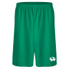 Thumbnail image for  Kelly Green Performance Classic 9 Inch Short