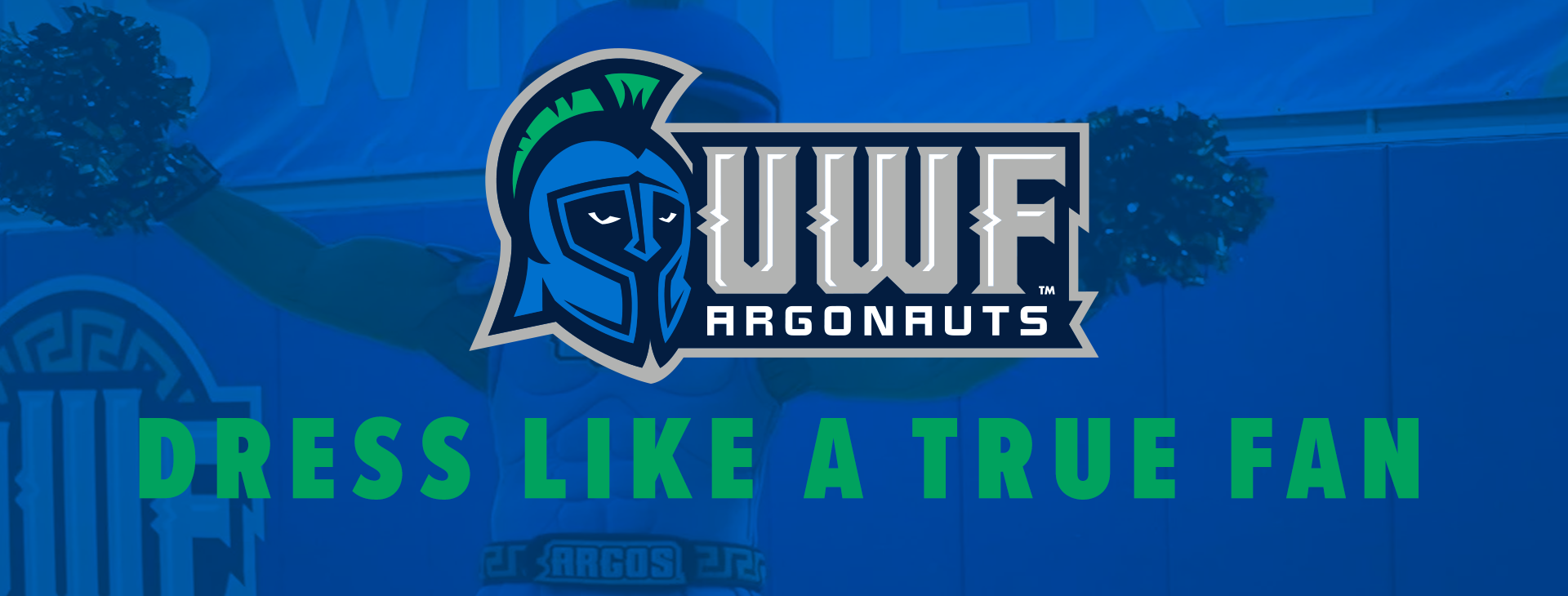 Promotional banner