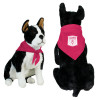 Thumbnail image for  Fuchsia Pet Bandana