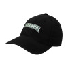 Thumbnail image for Wisconsin ParkS/Mide Black Flexfit Structured Low Profile Hat