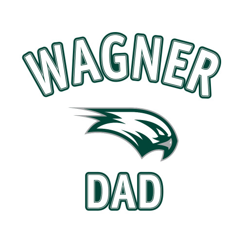 : Wagner College Seahawks Fan Gear - Steve State Wagner College  Seahawks Athletics Logo Throw Pillow, 18x18, Multicolor : Home & Kitchen