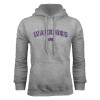 Thumbnail image for  Grey Fleece Hoodie
