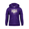 Thumbnail image for  Youth Purple Fleece Hoodie
