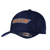 Thumbnail image for  Navy Flexfit Structured Low Profile Hat