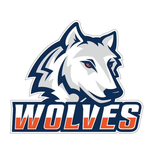  Medium Decal - Mascot