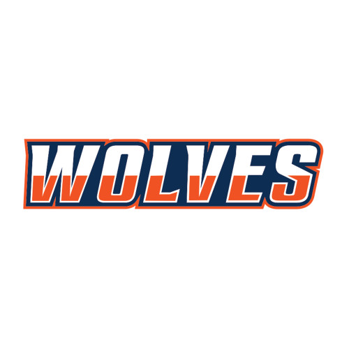  Medium Decal - Athletic Wordmark