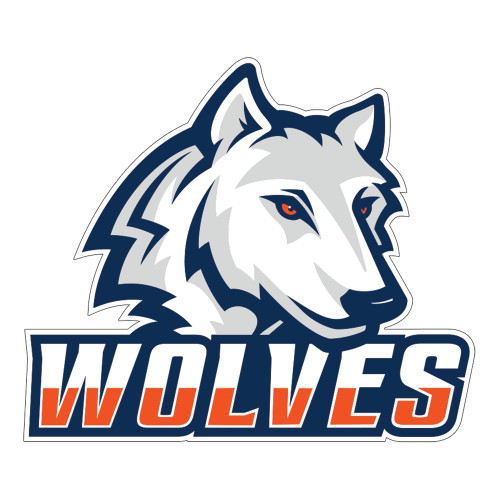  Large Decal - Mascot