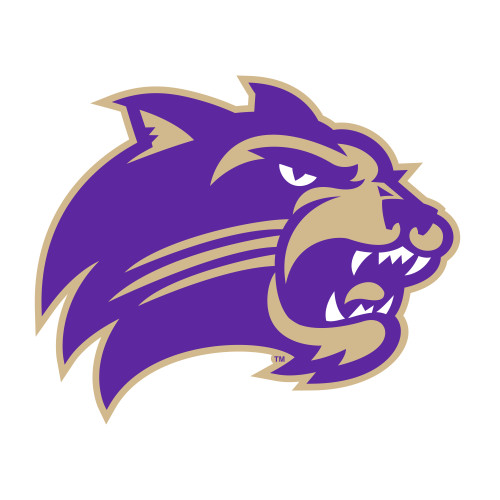  Medium Decal - Catamount Head