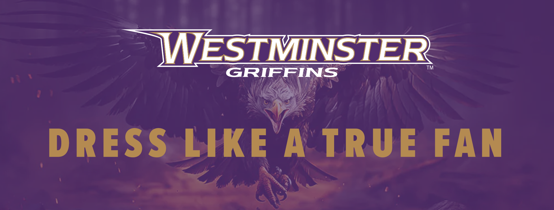 Promotional banner
