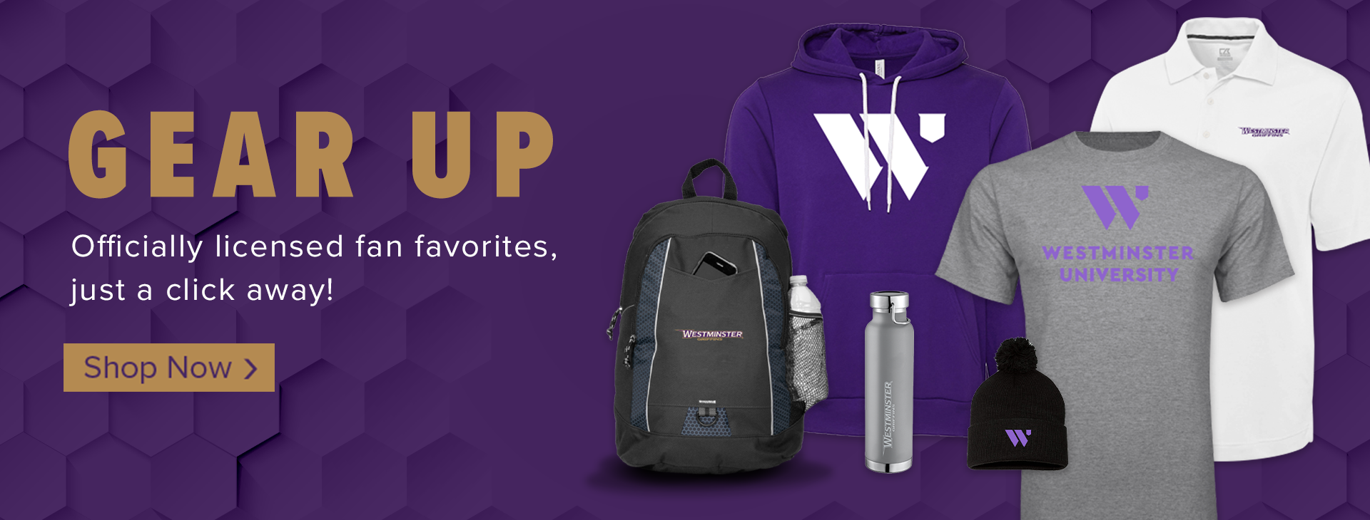 Promotional banner