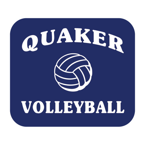  Medium Decal - Volleyball