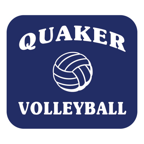  Large Decal - Volleyball