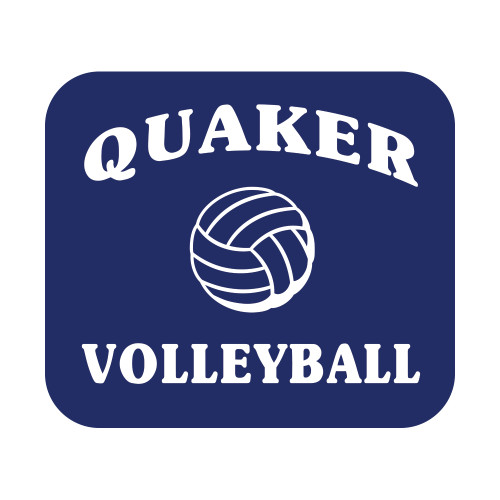  Small Decal - Volleyball