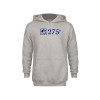 Thumbnail image for  Youth Grey Fleece Hood