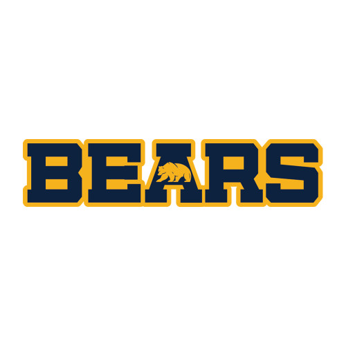 Medium Decal - Bears Logo