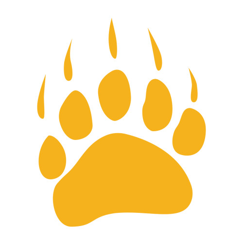  Medium Decal - Bear Paw