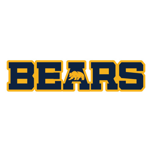  Large Decal - Bears Logo