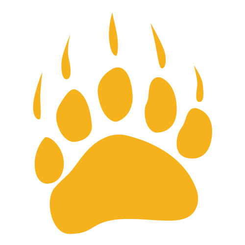  Large Decal - Bear Paw