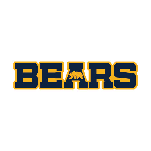  Small Decal - Bears Logo