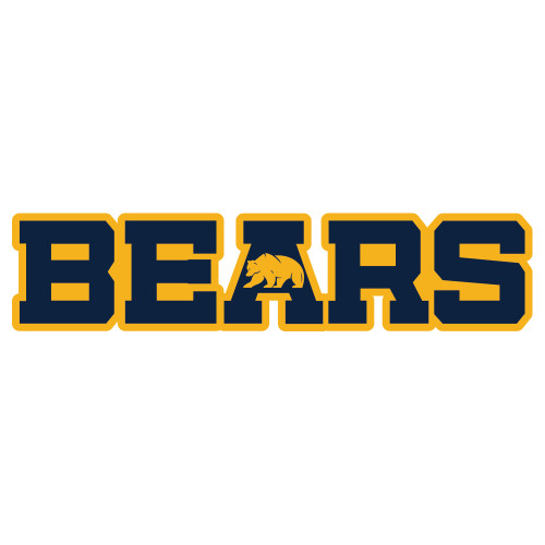  Extra Large Decal - Bears Logo