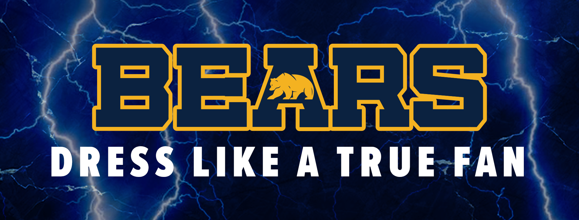 Promotional banner